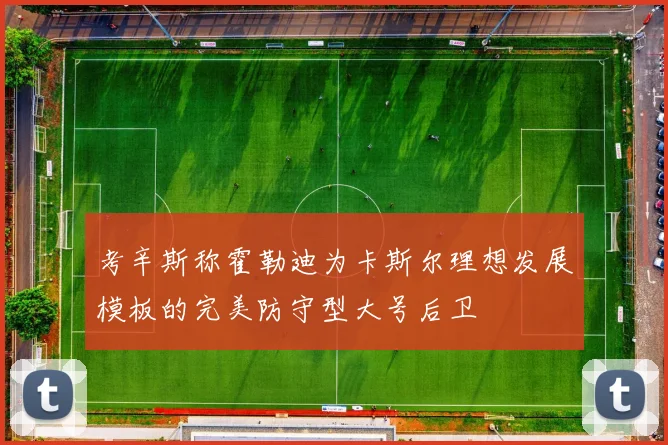 考辛斯称霍勒迪为卡斯尔理想发展模板的完美防守型大号后卫