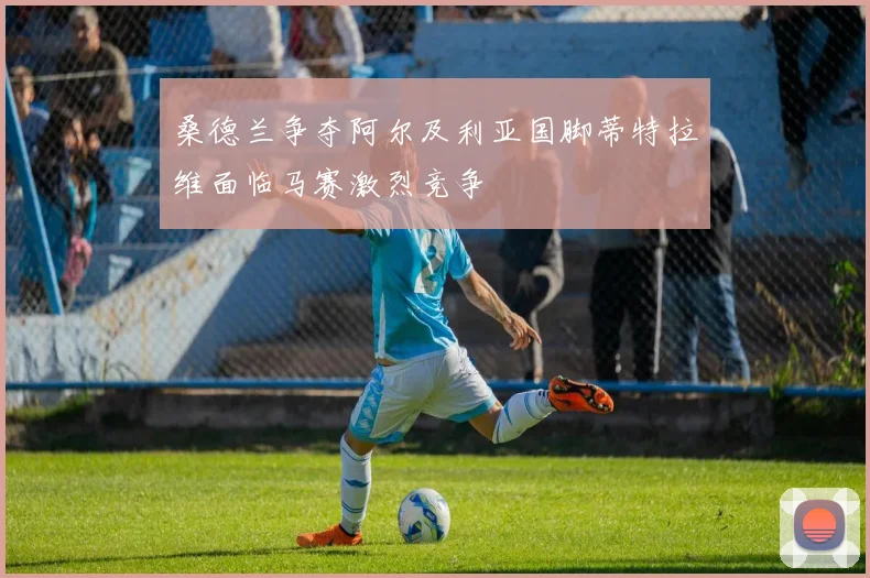 桑德兰争夺阿尔及利亚国脚蒂特拉维面临马赛激烈竞争