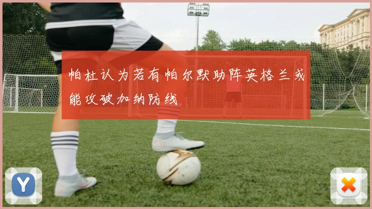 帕杜认为若有帕尔默助阵英格兰或能攻破加纳防线