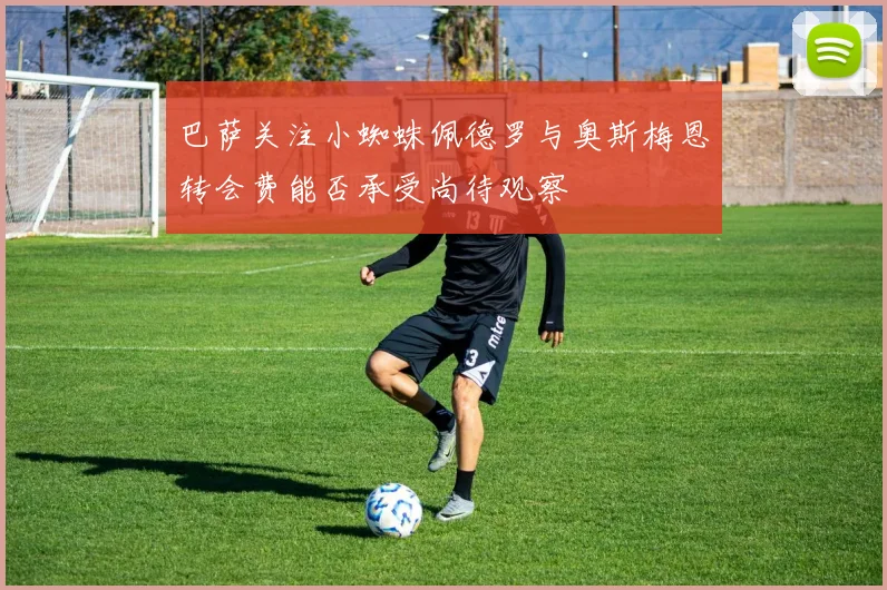 巴萨关注小蜘蛛佩德罗与奥斯梅恩转会费能否承受尚待观察
